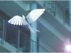 Festo BionicSwift 2021 Festo BionicSwift 2021