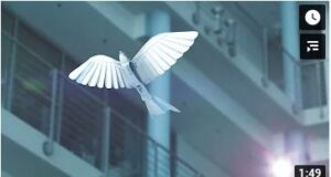 Festo BionicSwift 2021 Festo BionicSwift 2021