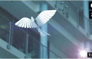 Festo BionicSwift 2021 Festo BionicSwift 2021