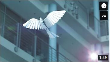 Festo BionicSwift 2021 Festo BionicSwift 2021