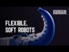 7 Soft Robots of the Future Soft Robots