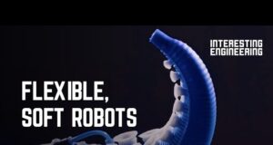 7 Soft Robots of the Future Soft Robots