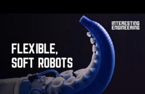 7 Soft Robots of the Future Soft Robots